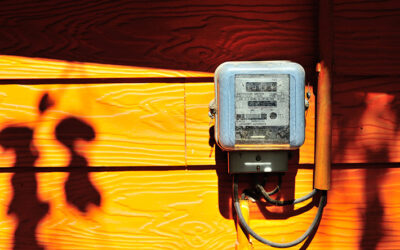 Whole-House Surge Protection: Prevent Costly Damage